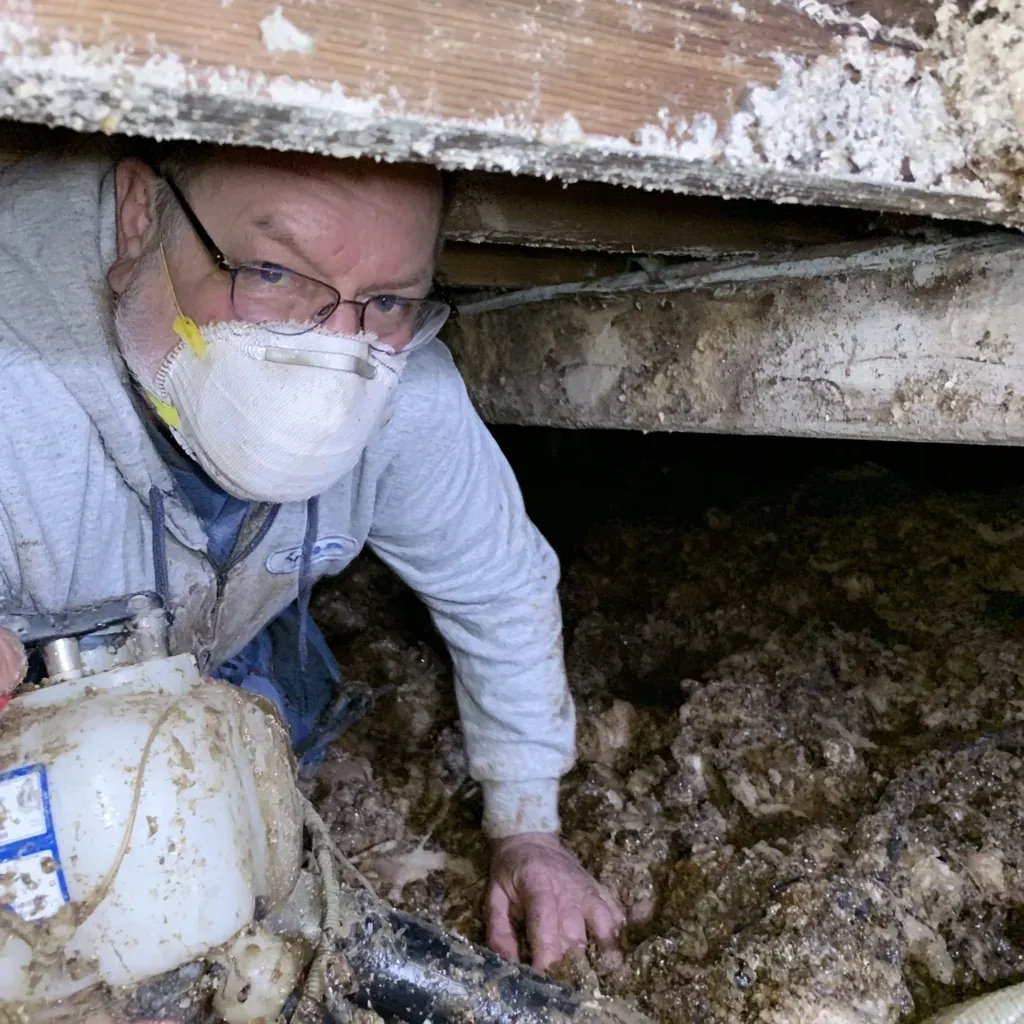 The 20 Percent Wood Moisture Rule Explained