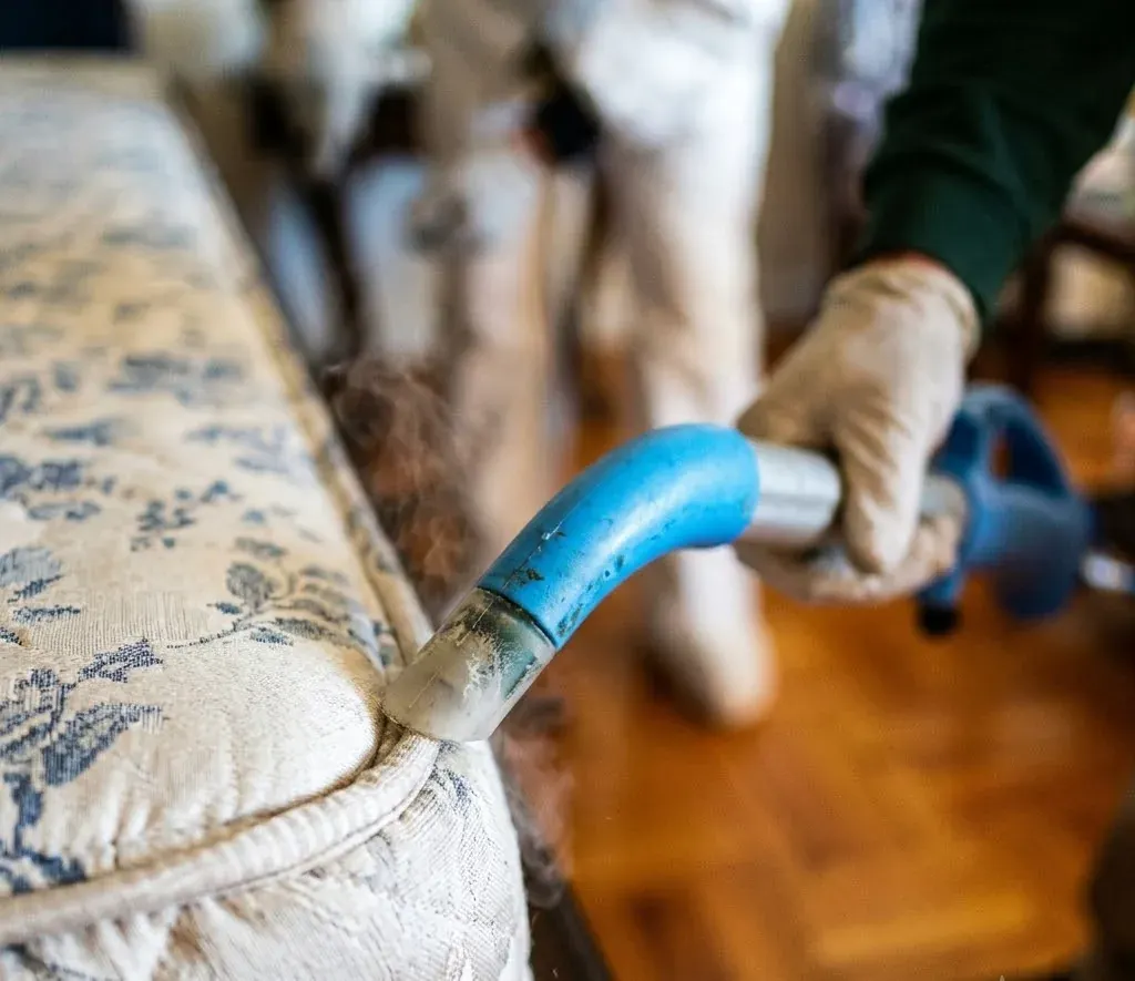 Bed Bugs at Turnover: A Landlord's Playbook in Fayetteville