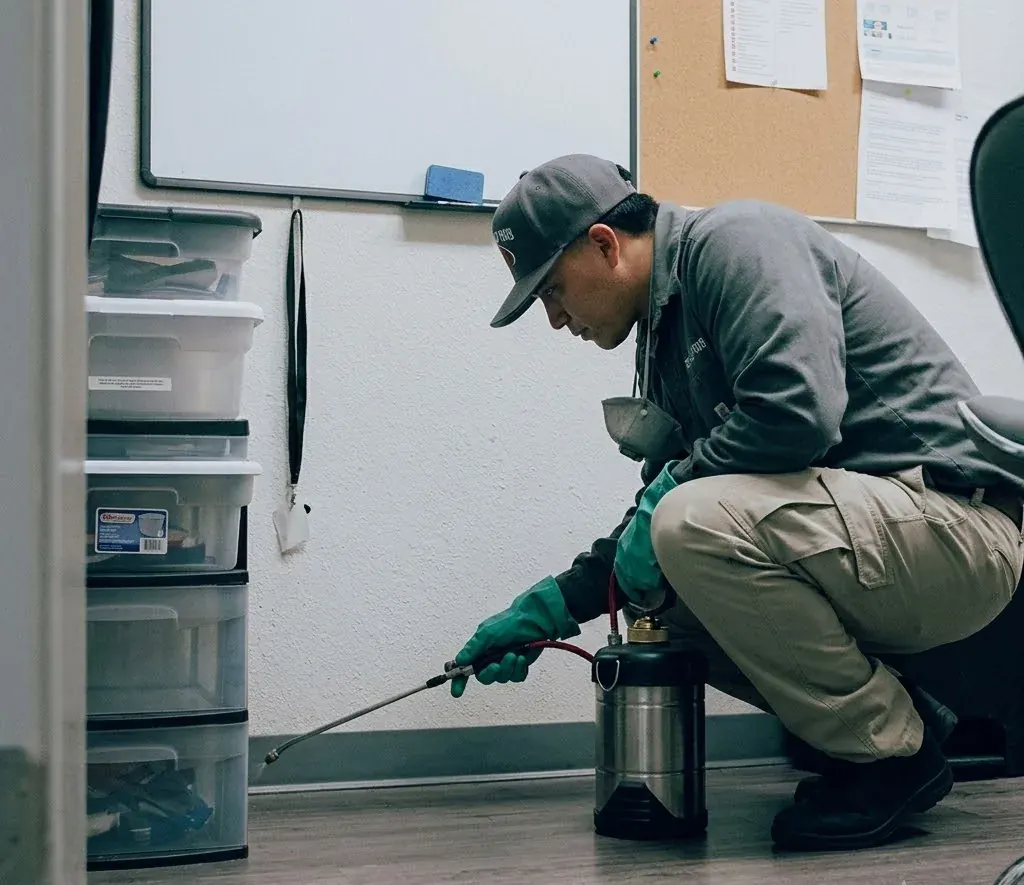 Offices pest control in Fayetteville, NC